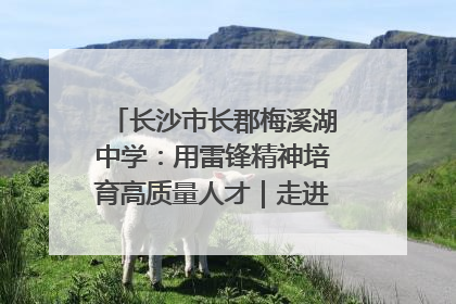 长沙市长郡梅溪湖中学：用雷锋精神培育高质量人才｜走进新时代“雷锋传人 长沙榜样”