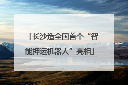 长沙造全国首个“智能押运机器人”亮相