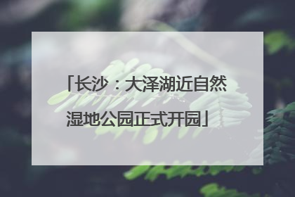 长沙：大泽湖近自然湿地公园正式开园