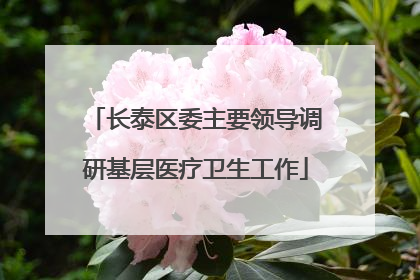 长泰区委主要领导调研基层医疗卫生工作
