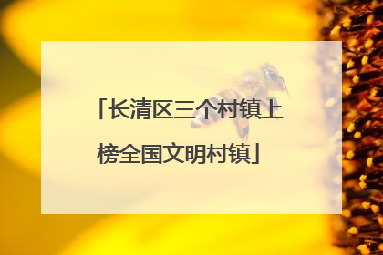 长清区三个村镇上榜全国文明村镇