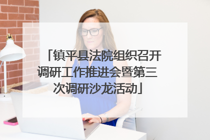 镇平县法院组织召开调研工作推进会暨第三次调研沙龙活动