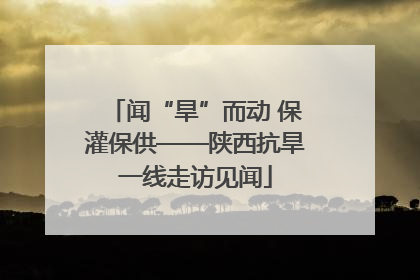 闻“旱”而动 保灌保供——陕西抗旱一线走访见闻