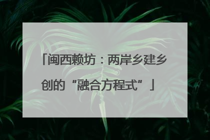 闽西赖坊：两岸乡建乡创的“融合方程式”