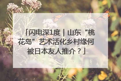 闪电深1度｜山东“桃花岛”艺术活化乡村缘何被日本友人推介？