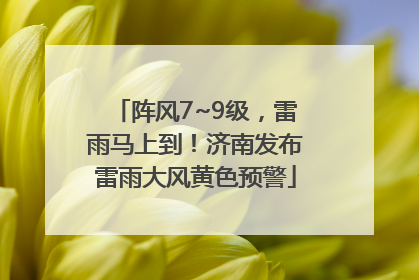 阵风7~9级，雷雨马上到！济南发布雷雨大风黄色预警