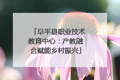 阜平县职业技术教育中心：产教融合赋能乡村振兴
