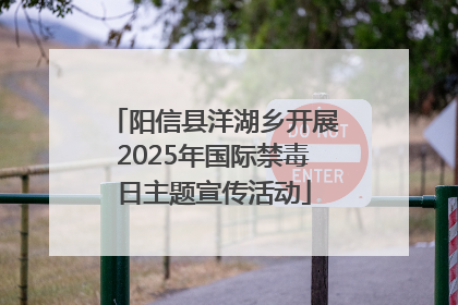 阳信县洋湖乡开展2025年国际禁毒日主题宣传活动