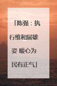 陈强：执行维和展雄姿 暖心为民有正气