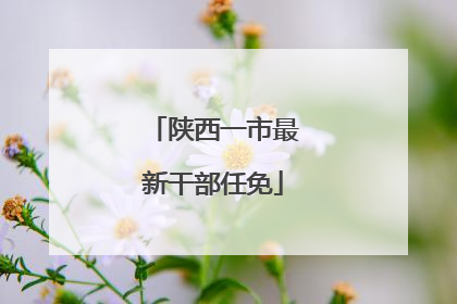 陕西一市最新干部任免