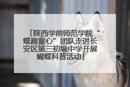 陕西学前师范学院“蝶趣童心”团队走进长安区第三初级中学开展蝴蝶科普活动