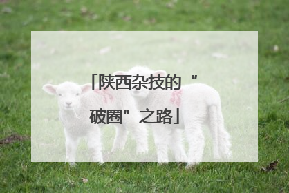 陕西杂技的“破圈”之路