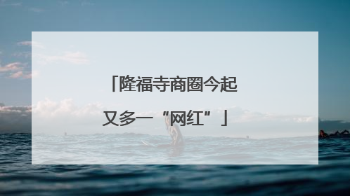 隆福寺商圈今起又多一“网红”