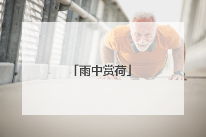 雨中赏荷