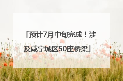 预计7月中旬完成！涉及咸宁城区50座桥梁