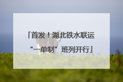 首发！湖北铁水联运“一单制”班列开行
