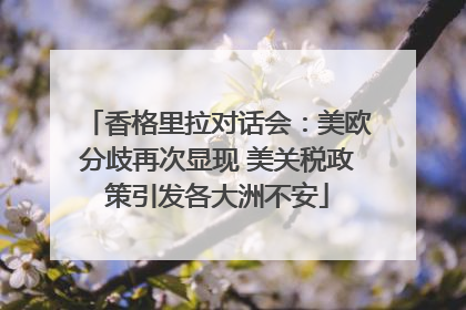 香格里拉对话会：美欧分歧再次显现 美关税政策引发各大洲不安