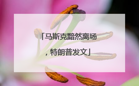 马斯克黯然离场，特朗普发文