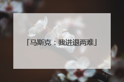 马斯克：我进退两难
