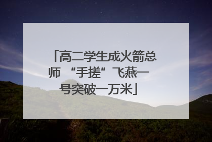高二学生成火箭总师 “手搓”飞燕一号突破一万米