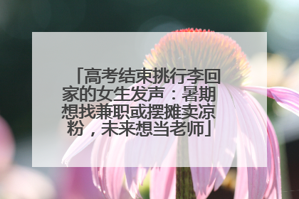 高考结束挑行李回家的女生发声：暑期想找兼职或摆摊卖凉粉，未来想当老师