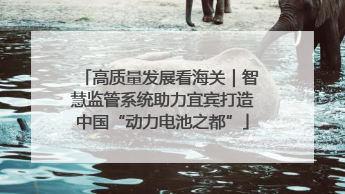 高质量发展看海关｜智慧监管系统助力宜宾打造中国“动力电池之都”