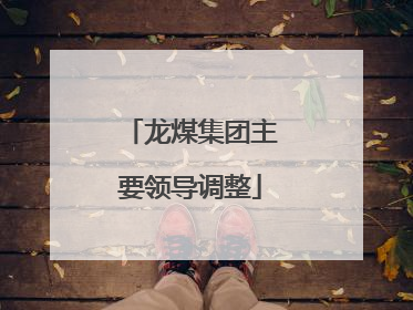龙煤集团主要领导调整