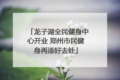 龙子湖全民健身中心开业 郑州市民健身再添好去处