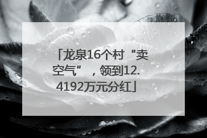 龙泉16个村“卖空气”，领到12.4192万元分红