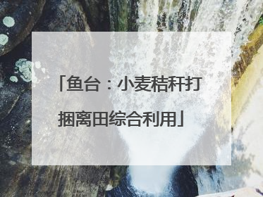 鱼台：小麦秸秆打捆离田综合利用