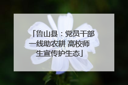 鲁山县：党员干部一线助农耕 高校师生宣传护生态