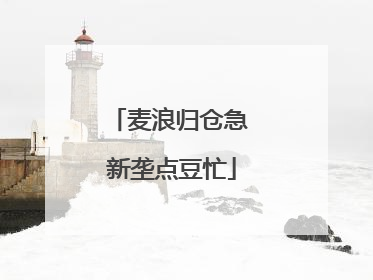麦浪归仓急 新垄点豆忙