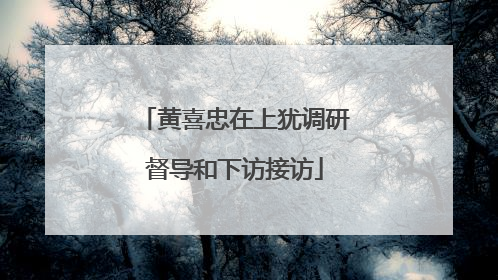 黄喜忠在上犹调研督导和下访接访