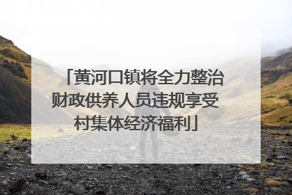 黄河口镇将全力整治财政供养人员违规享受村集体经济福利