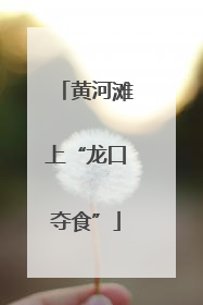 黄河滩上“龙口夺食”