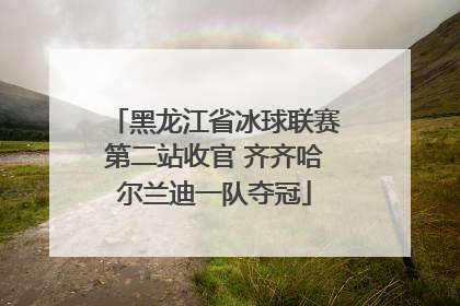 黑龙江省冰球联赛第二站收官 齐齐哈尔兰迪一队夺冠