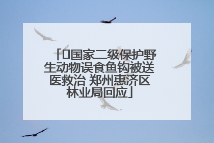 ﻿国家二级保护野生动物误食鱼钩被送医救治 郑州惠济区林业局回应
