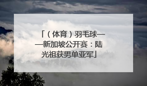 （体育）羽毛球——新加坡公开赛：陆光祖获男单亚军