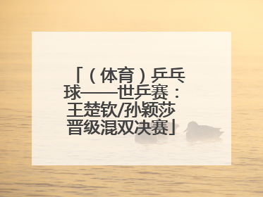 （体育）乒乓球——世乒赛：王楚钦/孙颖莎晋级混双决赛