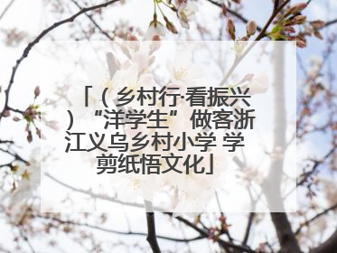 （乡村行·看振兴）“洋学生”做客浙江义乌乡村小学 学剪纸悟文化