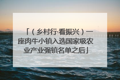 （乡村行·看振兴）一座肉牛小镇入选国家级农业产业强镇名单之后