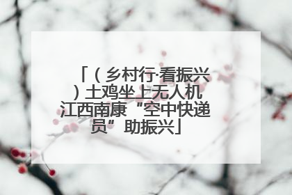 （乡村行·看振兴）土鸡坐上无人机 江西南康“空中快递员”助振兴