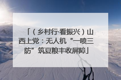 （乡村行·看振兴）山西上党：无人机“一喷三防”筑夏粮丰收屏障