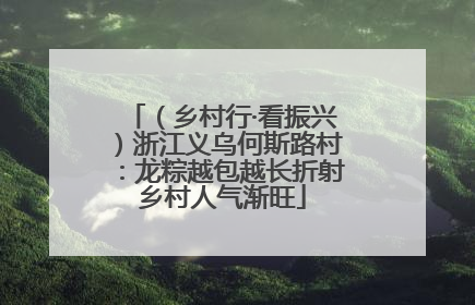 （乡村行·看振兴）浙江义乌何斯路村：龙粽越包越长折射乡村人气渐旺