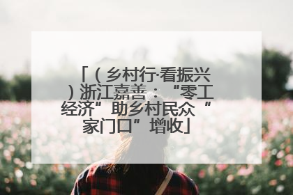 （乡村行·看振兴）浙江嘉善：“零工经济”助乡村民众“家门口”增收