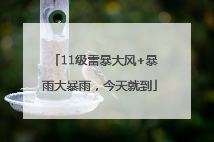 11级雷暴大风+暴雨大暴雨，今天就到
