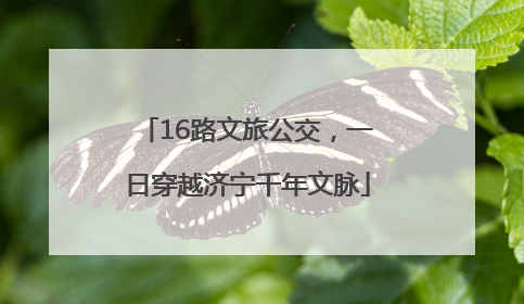 16路文旅公交，一日穿越济宁千年文脉