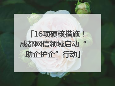 16项硬核措施！成都网信领域启动“助企护企”行动