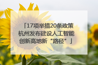 17项举措20条政策 杭州发布建设人工智能创新高地新“路径”