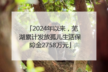 2024年以来，芜湖累计发放孤儿生活保障金2758万元
